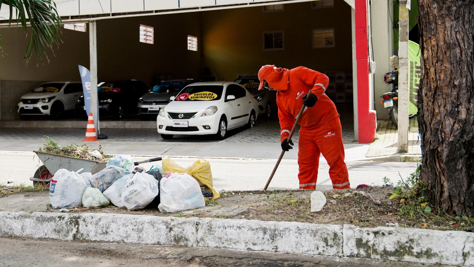 Capital Limpa e Ordenada: 34 ruas e avenidas de Fortaleza passam a receber coleta de lixo aos doming